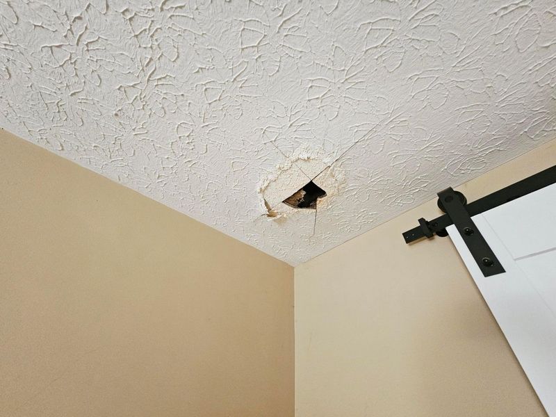 216 E Mulberry Street, Baltimore, OH 43105 Photo 19