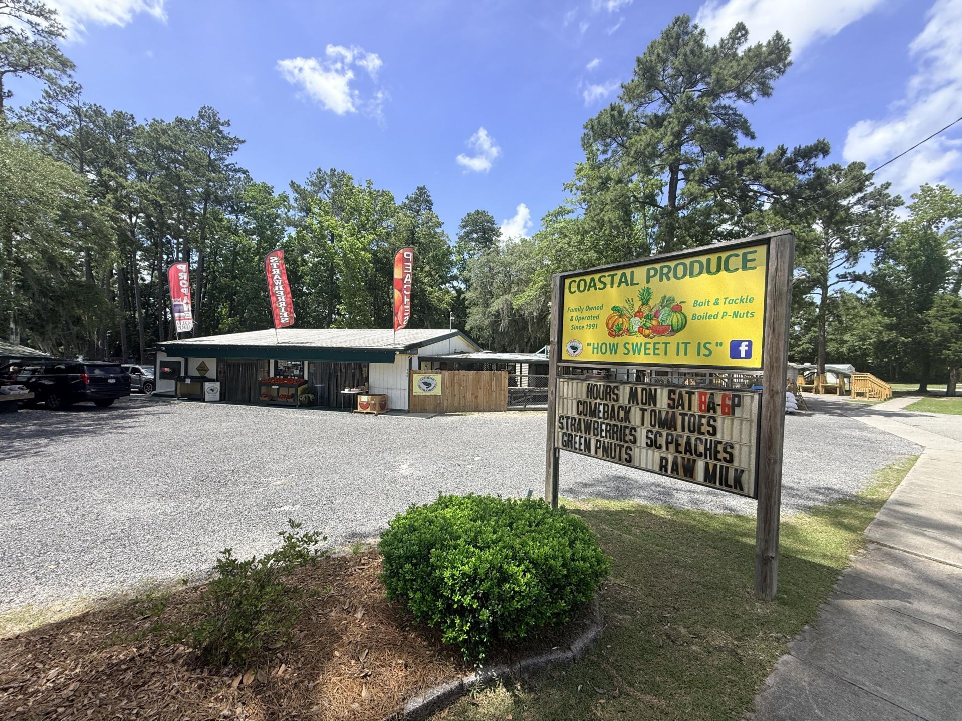 139 Sabal Court Photo 36