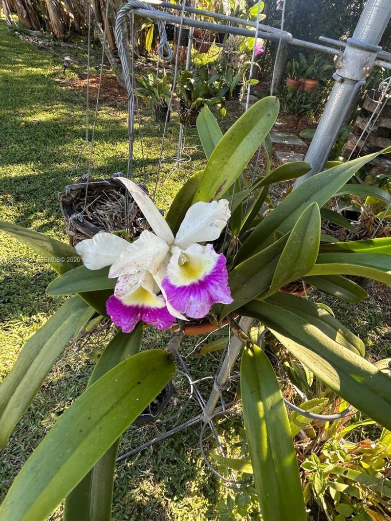 20501 NW 30th Ave, Miami Gardens, FL 33056 Photo