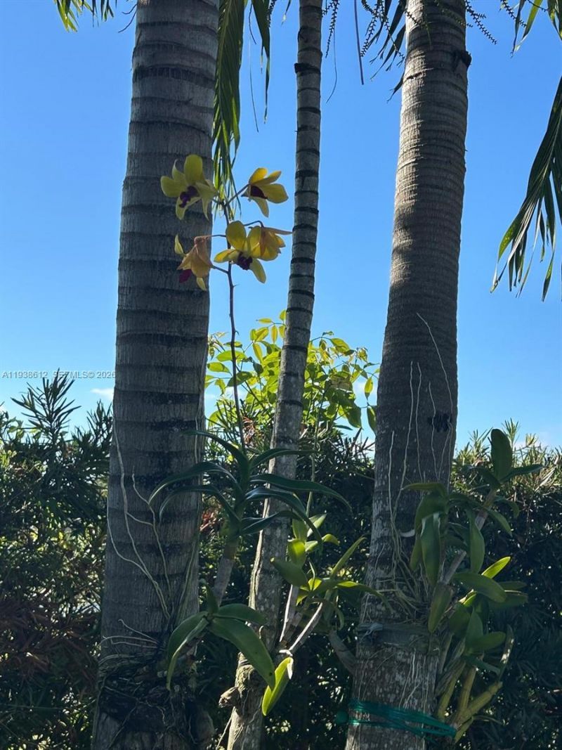 20501 NW 30th Ave, Miami Gardens, FL 33056 Photo