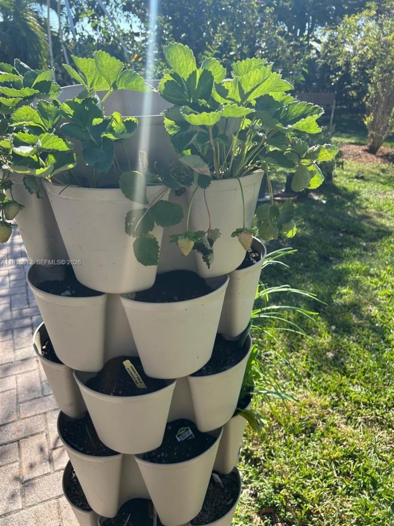 20501 NW 30th Ave, Miami Gardens, FL 33056 Photo