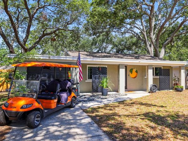 1516 SANTA ANNA DRIVE, DUNEDIN, FL 34698