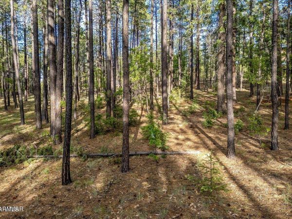 15 COUNTY ROAD 2083, Unit 10, Alpine, AZ 85920