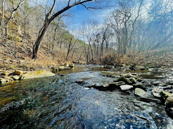 000 Airport Road, Houston, MO 65483