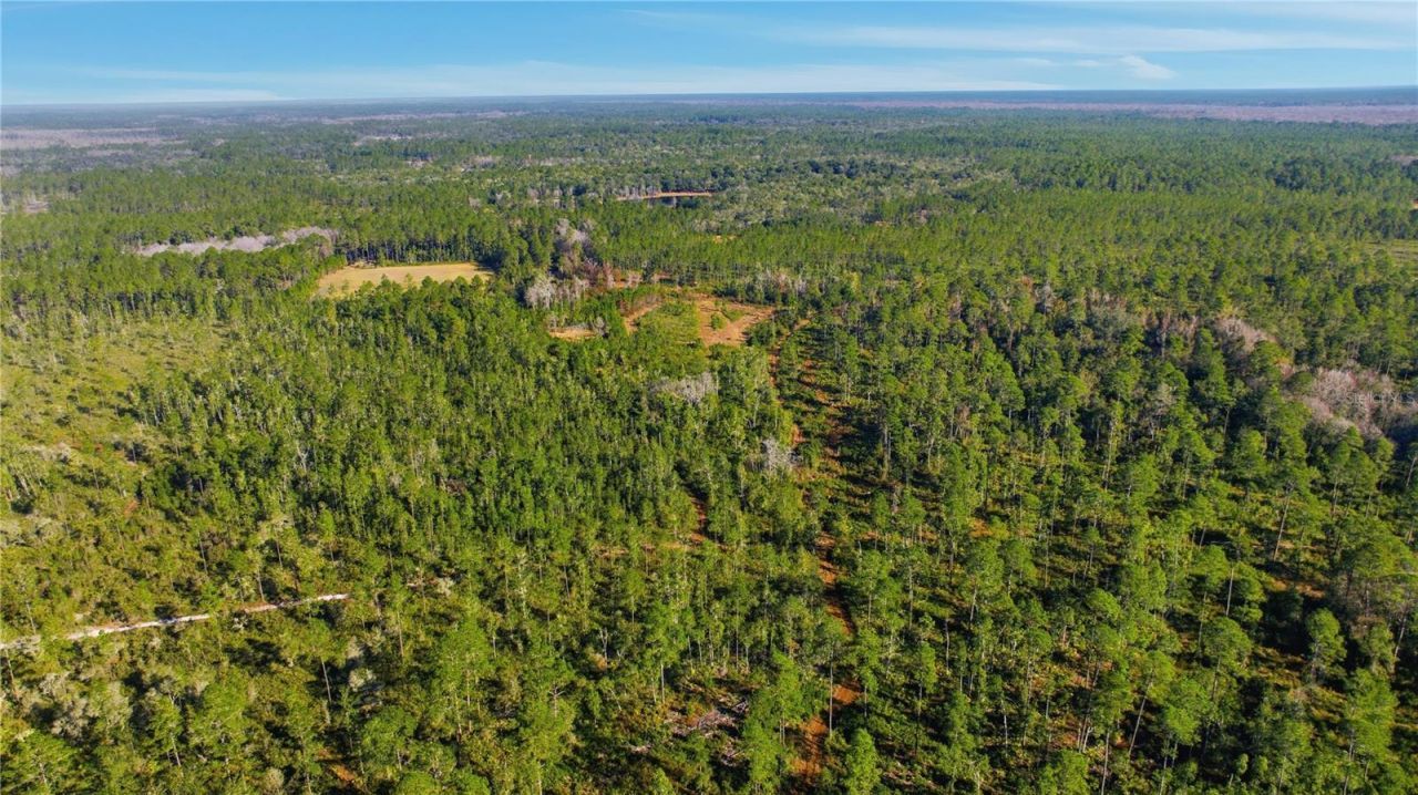 Tbd (lot 6) NE 115th Lane Road, Fort Mc Coy, FL 32134 Photo