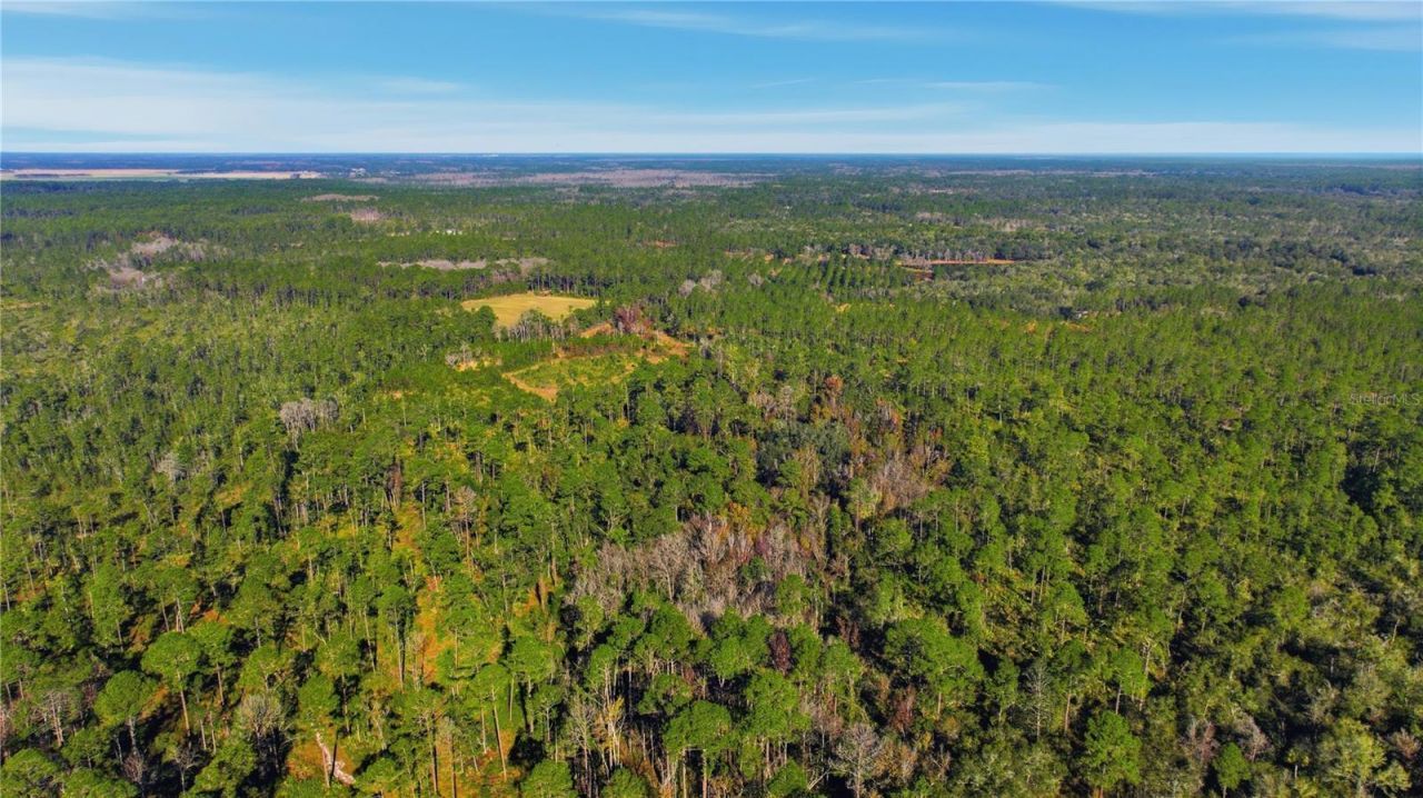 Tbd (lot 6) NE 115th Lane Road, Fort Mc Coy, FL 32134 Photo