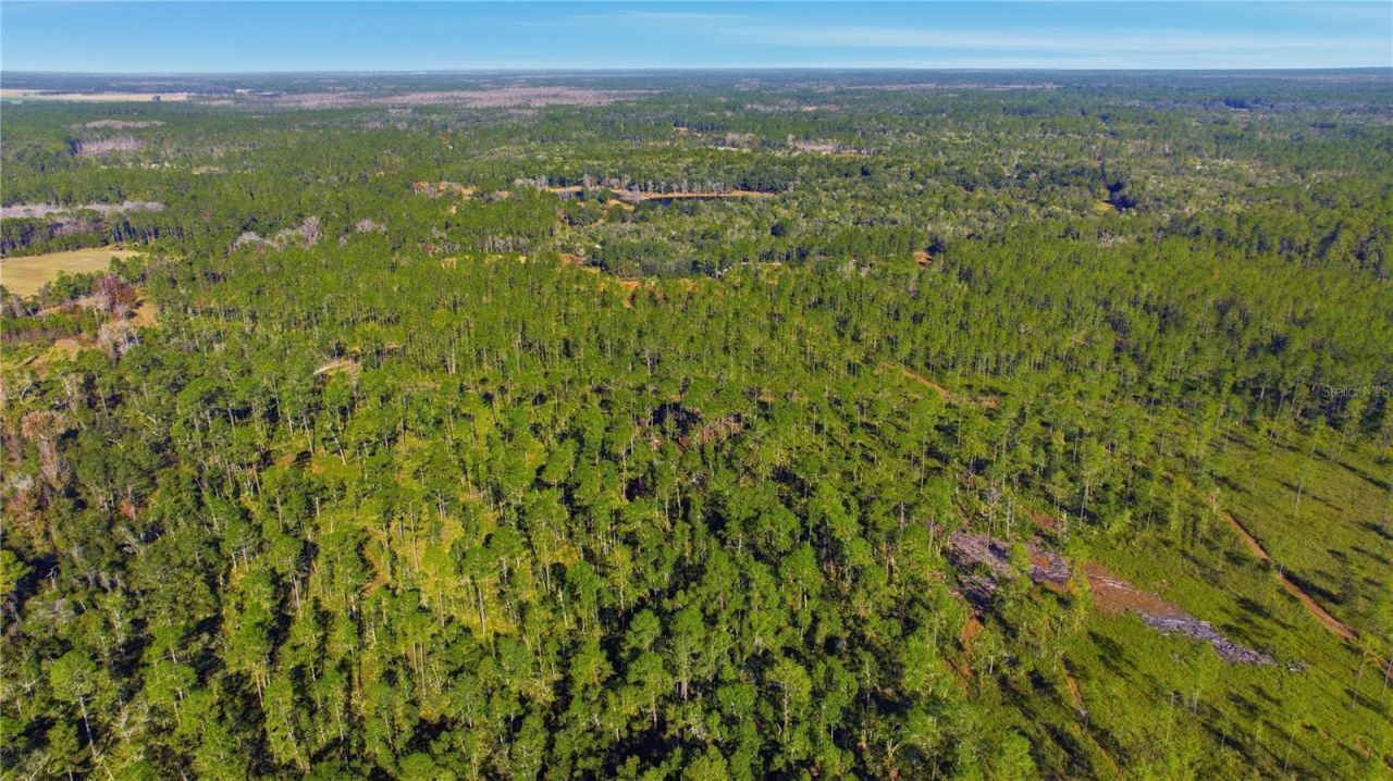 Tbd (lot 6) NE 115th Lane Road, Fort Mc Coy, FL 32134 Photo