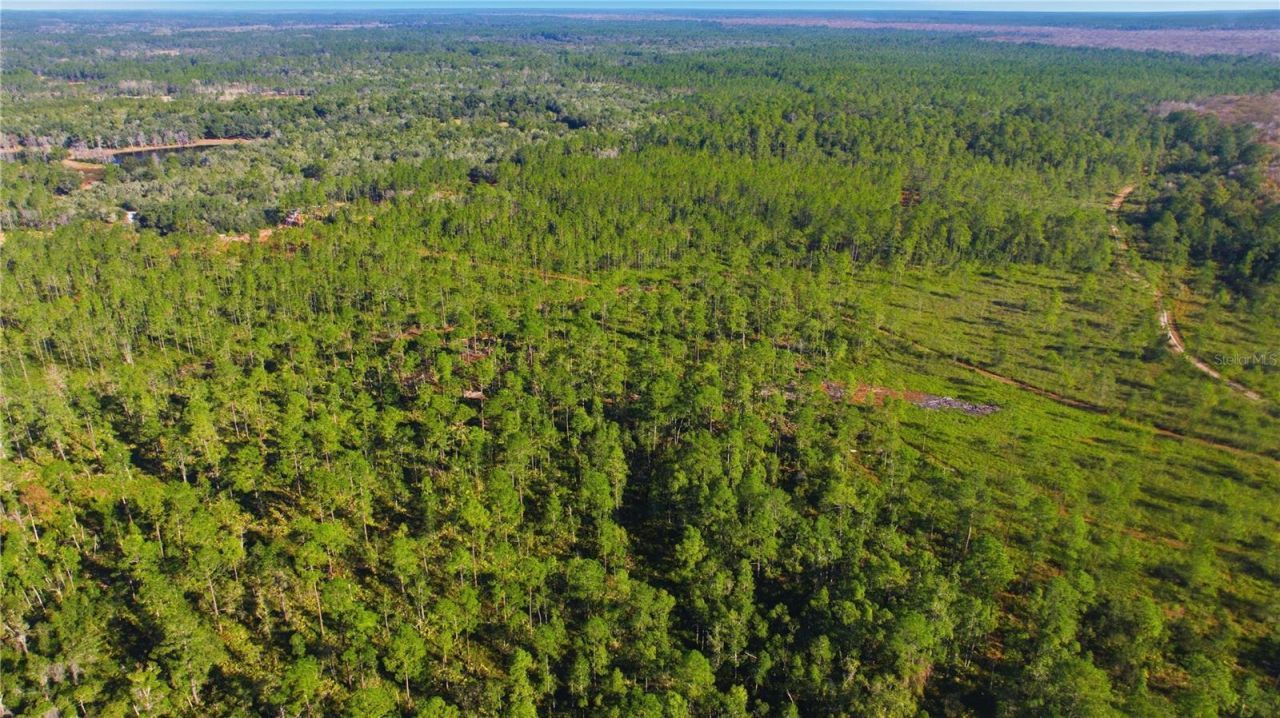 Tbd (lot 5) NE 115th Lane Road, Fort Mc Coy, FL 32134 Photo