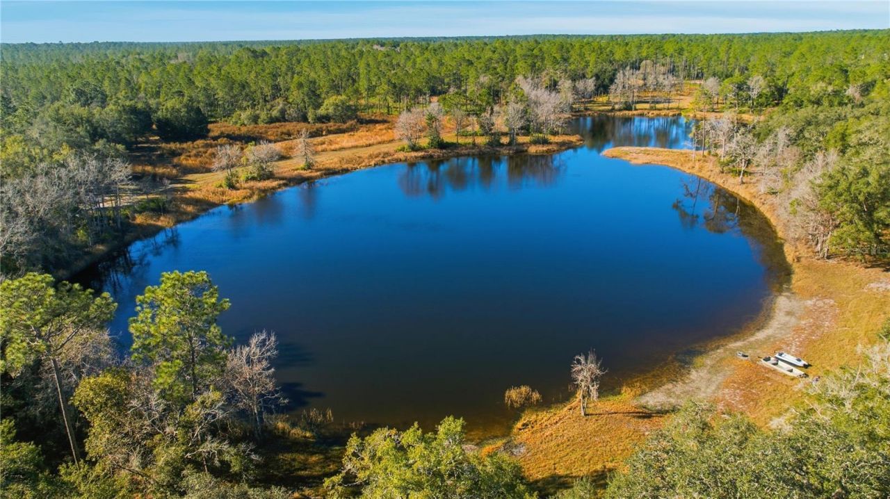 Tbd (lot 5) NE 115th Lane Road, Fort Mc Coy, FL 32134 Photo