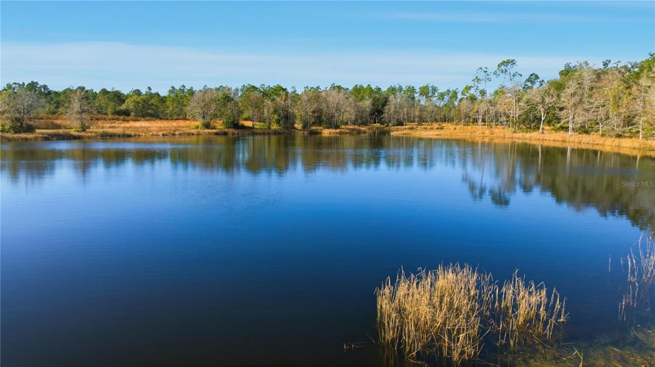 Tbd (lot 3) NE 115th Lane Road, Fort Mc Coy, FL 32134 Photo