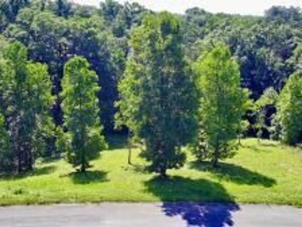 Cypress Drive, Dandridge, TN 37725