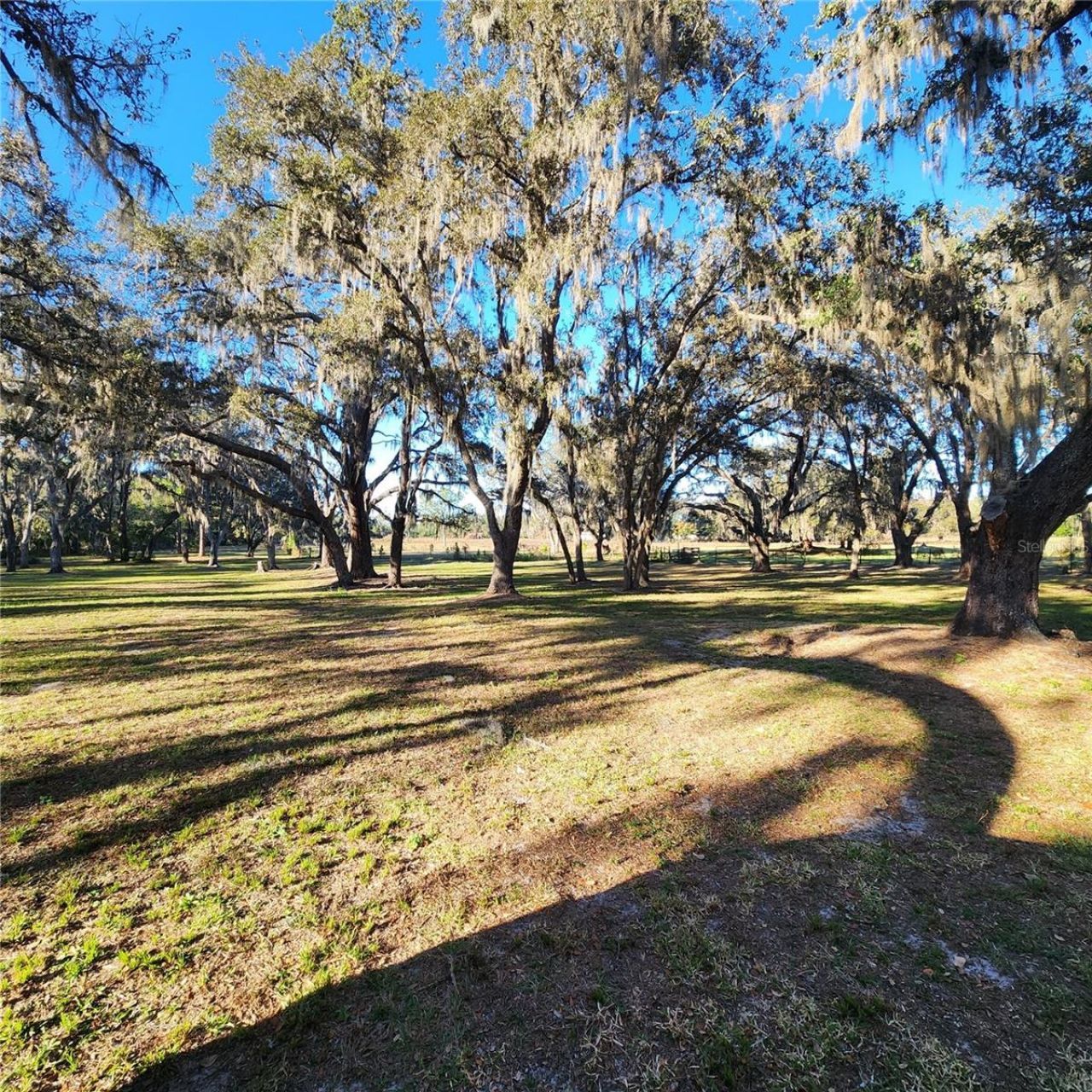 5275 Green Pond Road, Polk City, FL 33868 Photo