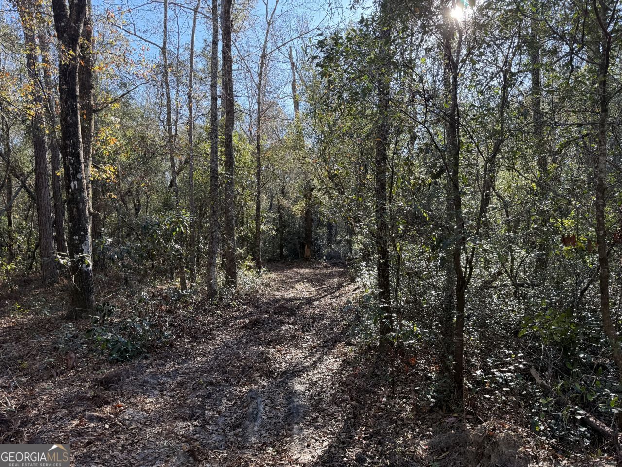 3833 Old Louisville Road, Guyton, GA 31312 Main Photo
