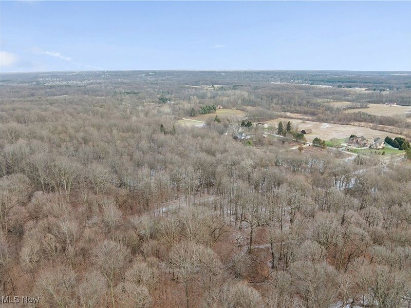 7014 River Styx Road, Medina, OH 44256 Photo 49