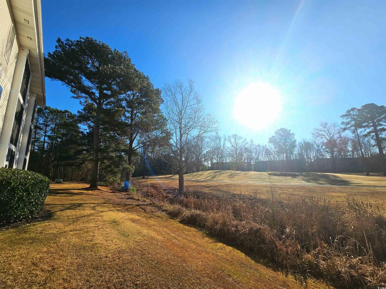 484 River Oaks Dr. Photo 30