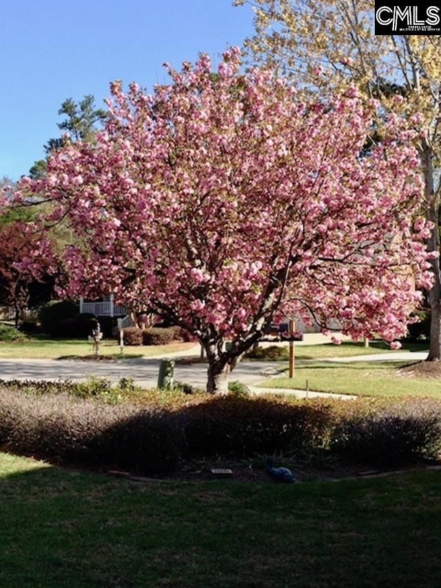 2008 Rolling Pines Drive Photo 44