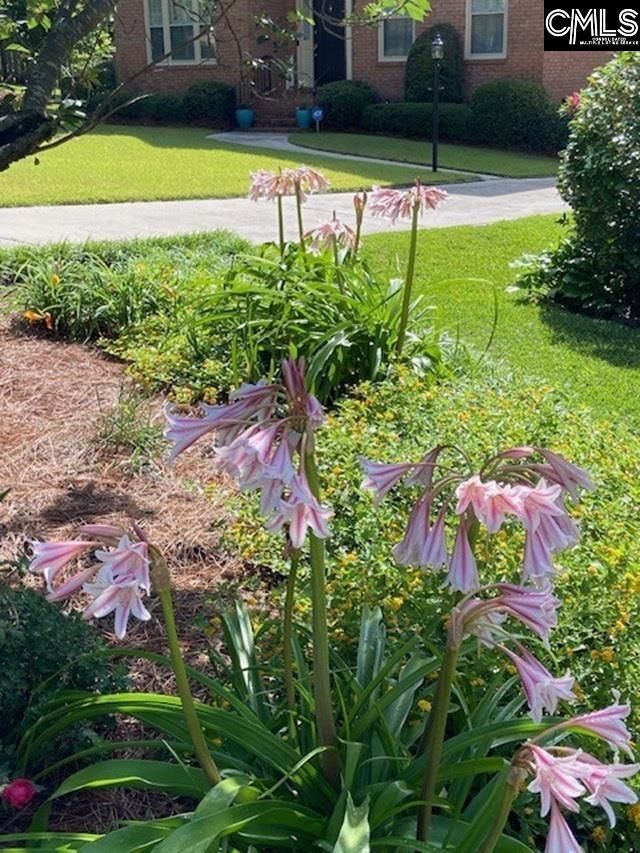 2008 Rolling Pines Drive Photo 45