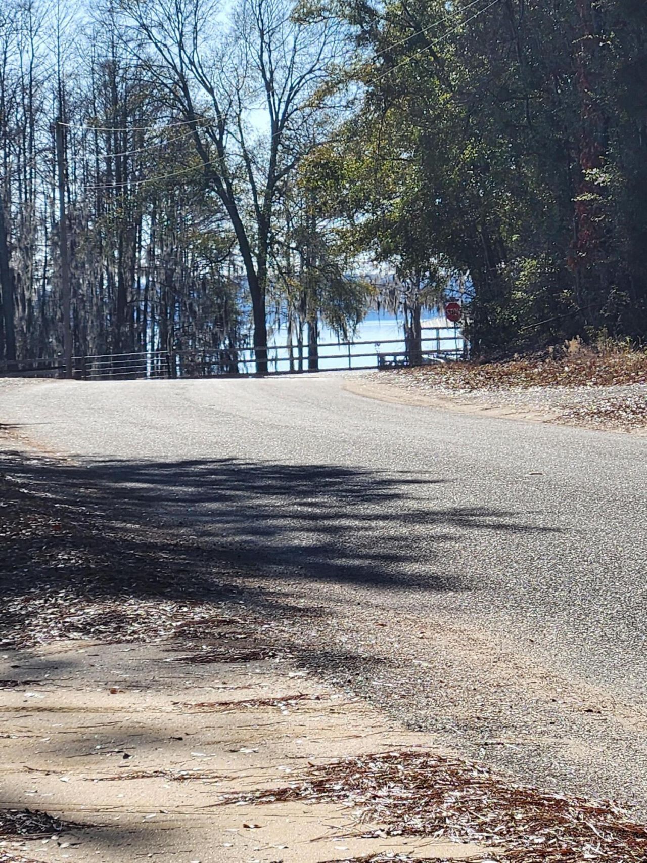 1012 Princess Trace Circle Photo 6