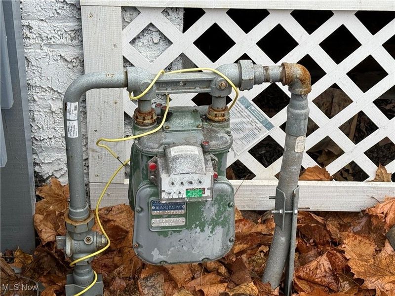 1028 E 146th Street, Cleveland, OH 44110 Photo 5