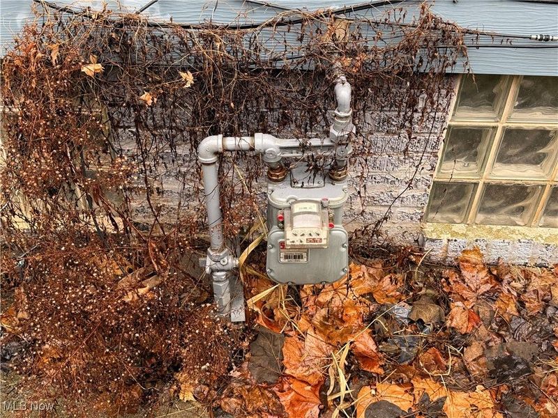 1028 E 146th Street, Cleveland, OH 44110 Photo 6