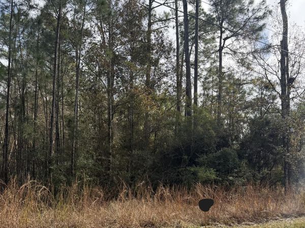 0 Smith Street, Bay Saint Louis, MS 39520