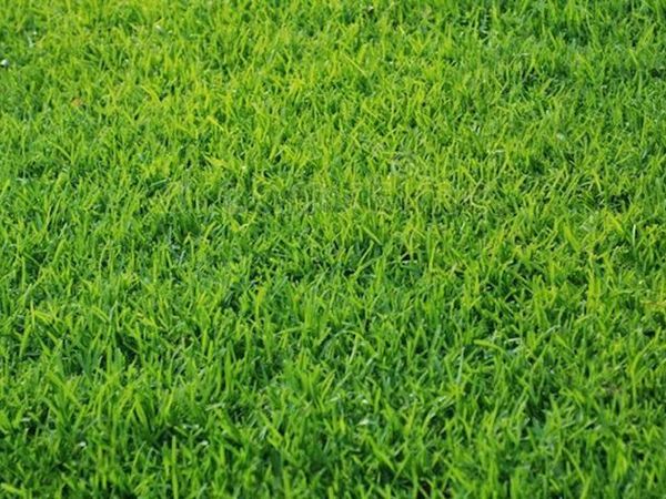 5133 Sydnie Road NW, Rochester, MN 55901