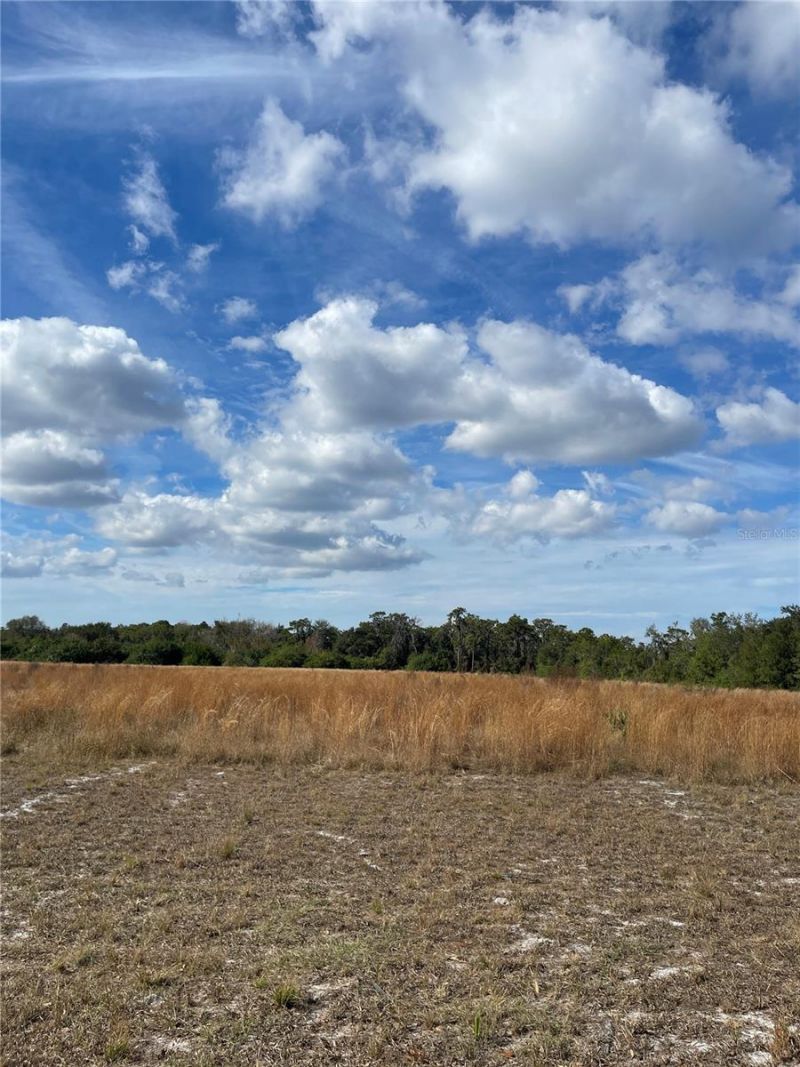 14451 Seminole Trail, Wimauma, FL 33598 Photo