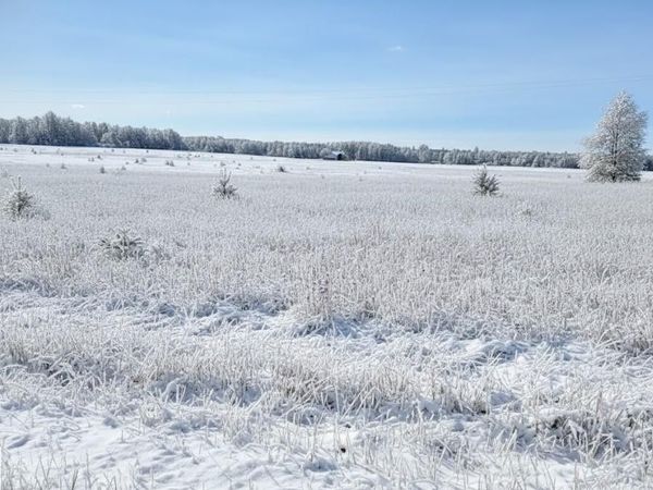 Walton Road, Kingsley, MI 49649