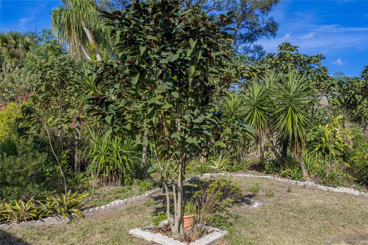 4346 Breckenridge Way, Unit 5, Sarasota, FL 34235 Photo