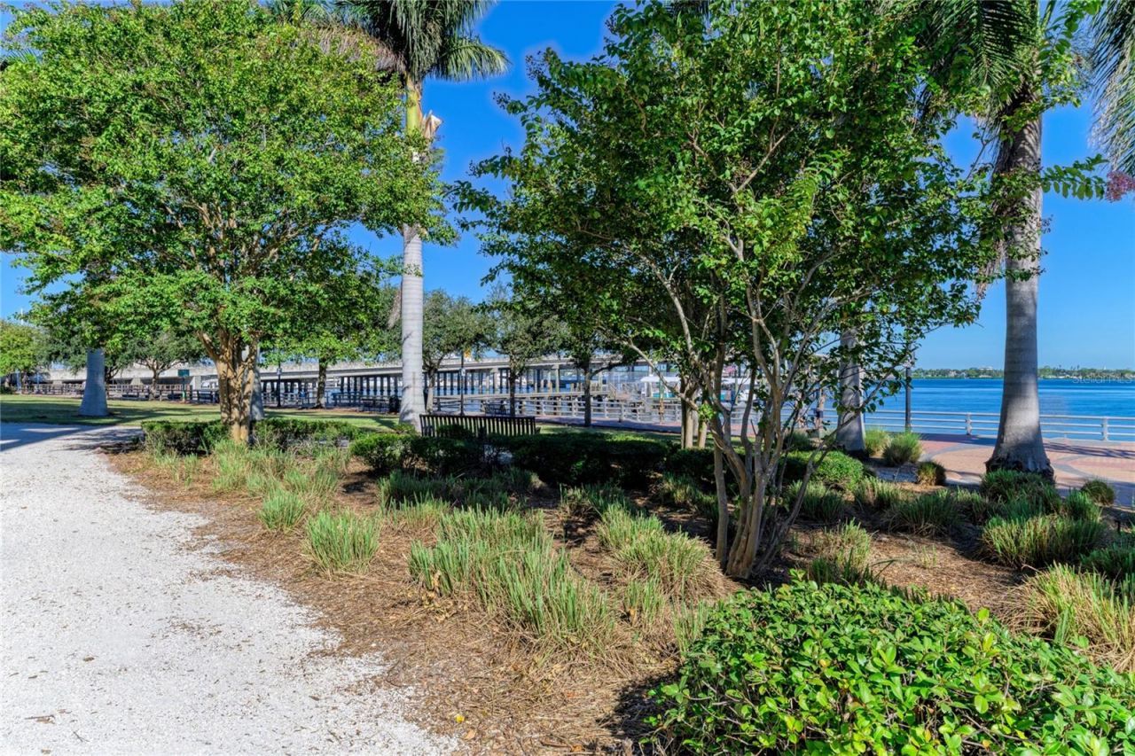 808 3rd Avenue W, Unit 805, Bradenton, FL 34205 Photo