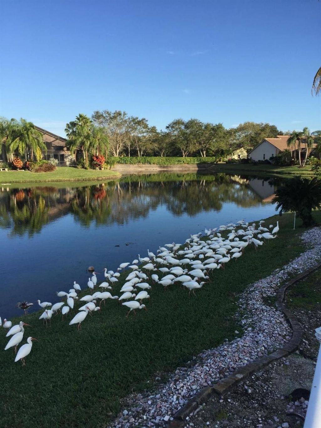 10203 NW 50th Place, Coral Springs, FL 33076 Photo