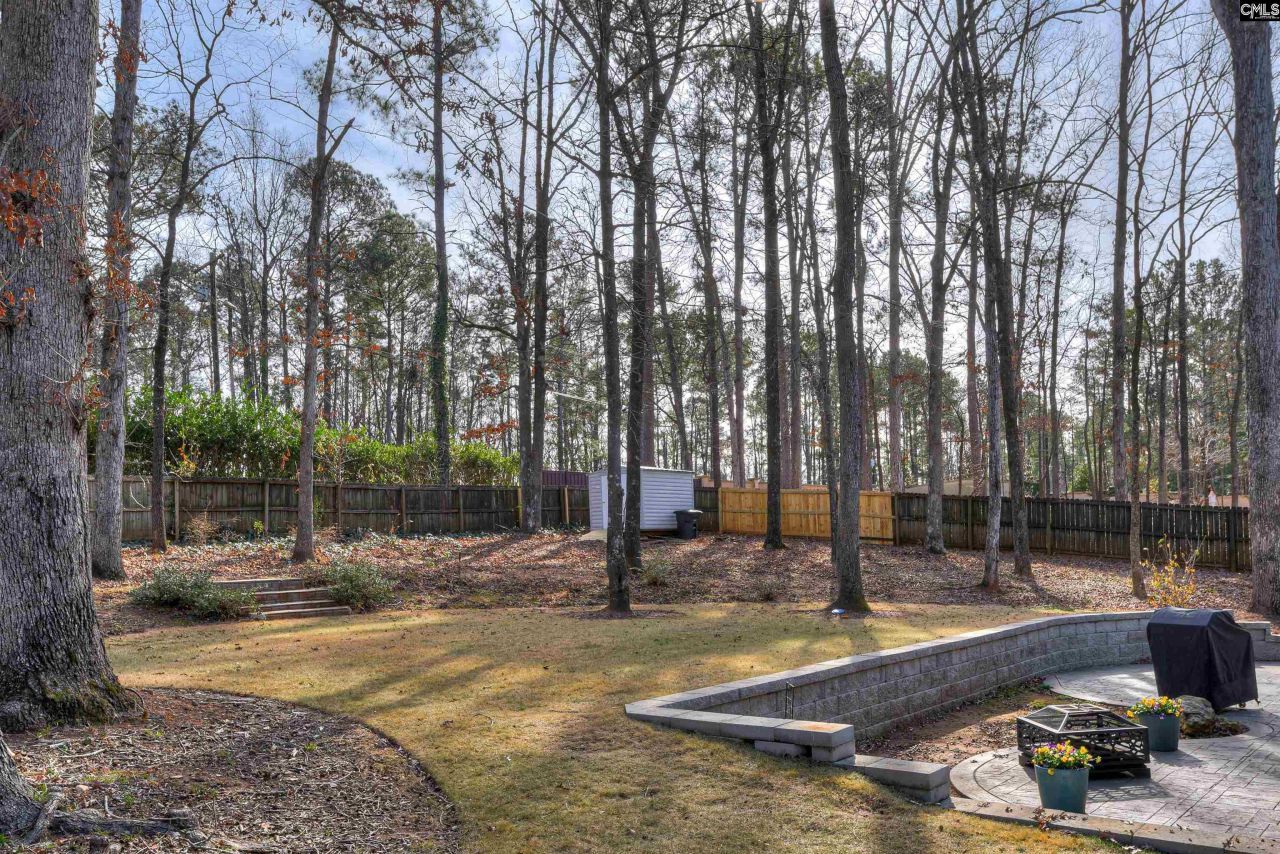 605 Whitewood Way Photo 45