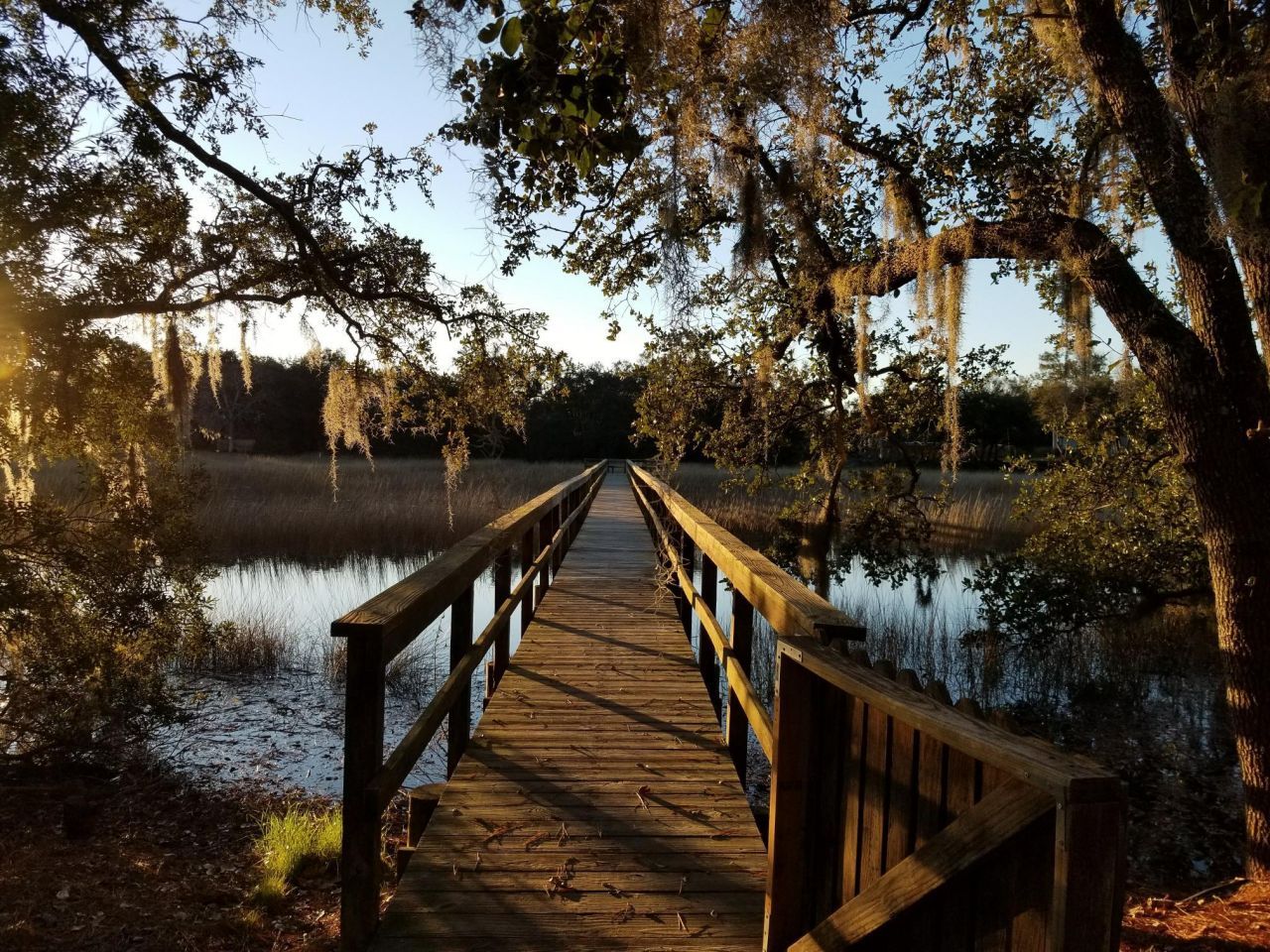 27 Brockman Drive Photo 19