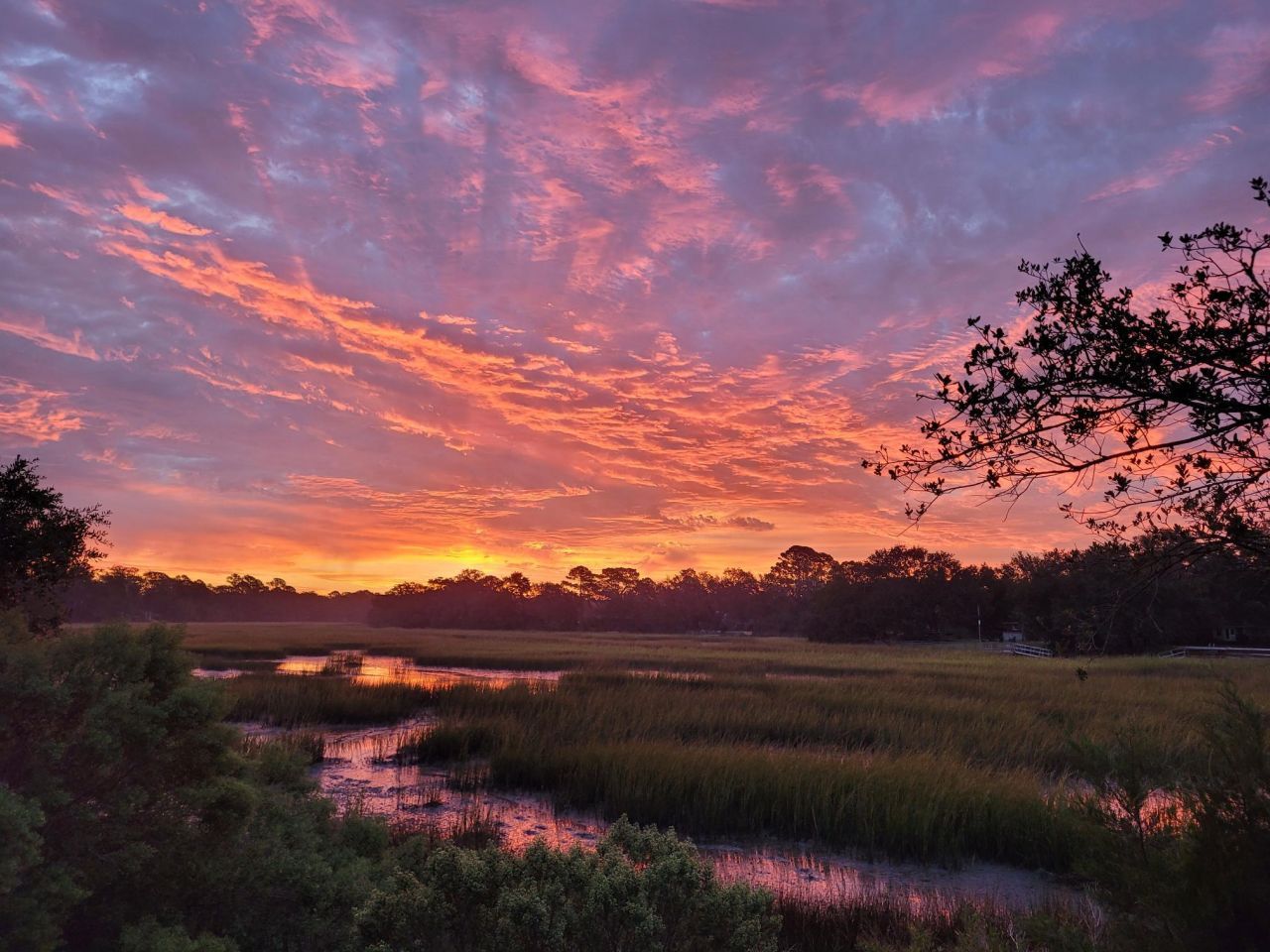 27 Brockman Drive Photo 20