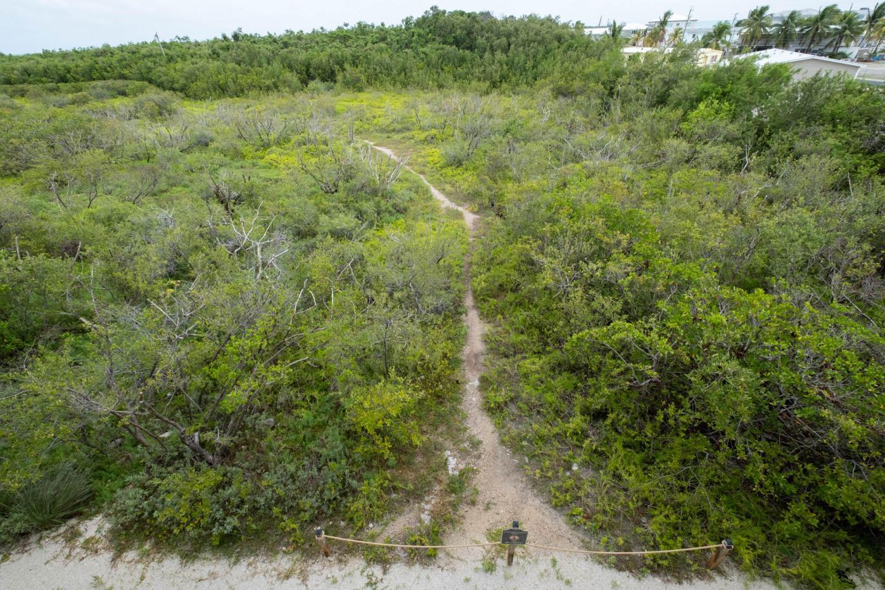 500 Burton Drive, Unit 1314, Tavernier, FL 33037 Photo