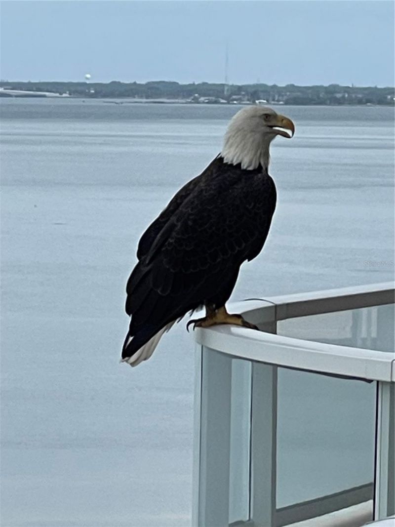 3060 Grand Bay Boulevard, Unit 174, Longboat Key, FL 34228 Photo