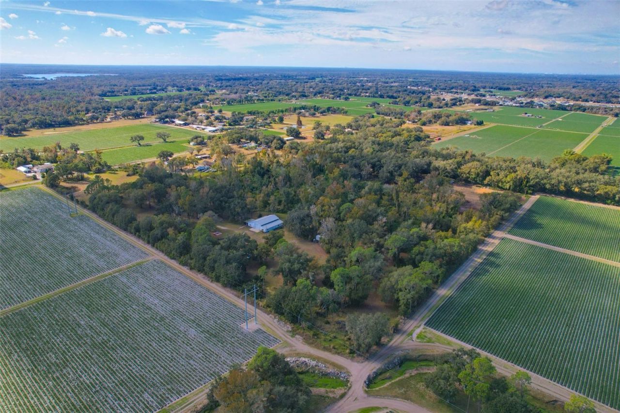 2804 Holloway Road, Plant City, FL 33567 Photo