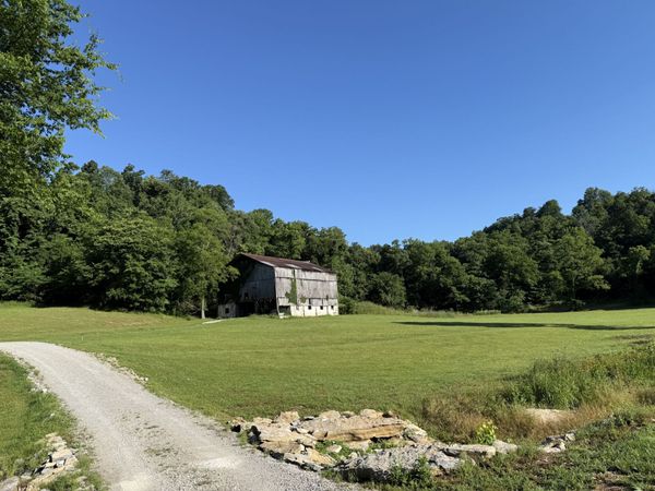 564 Mt Olive Cemetery Rd, Lynnville, TN 38472