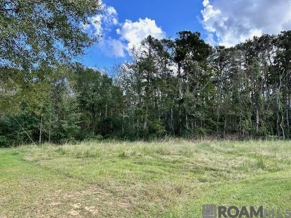 19348 Plantation Trace Dr, Livingston, LA 70754