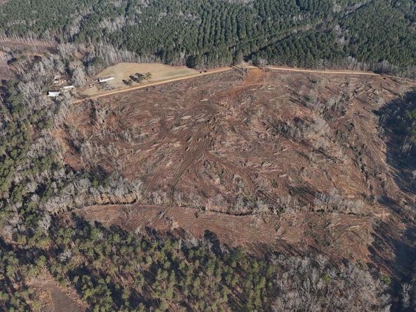 Firetower Road, Camden, MS 39045