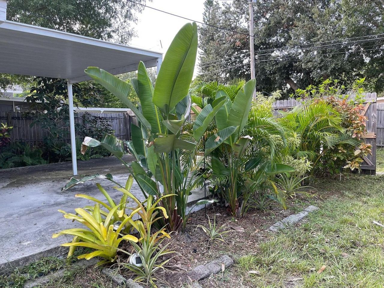 715 51st Avenue N, Saint Petersburg, FL 33703 Photo