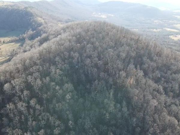 Mount Judea, AR 72655