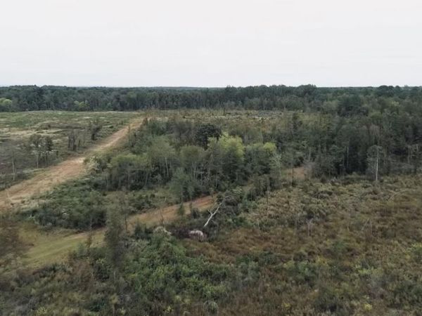 2736 S AR 7, Arkadelphia, AR 71923