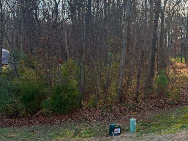 2010 Parrothead Drive, Monroe, NC 28110