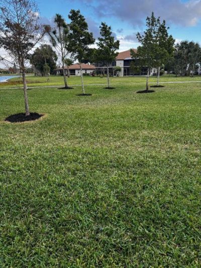 13192 Lucinda Palm Court, Unit C, Delray Beach, FL 33484 Photo