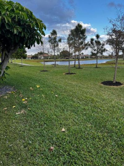 13192 Lucinda Palm Court, Unit C, Delray Beach, FL 33484 Photo