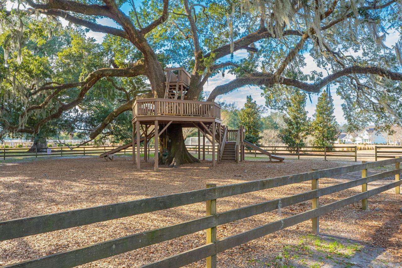 412 Oak View Way Photo 48