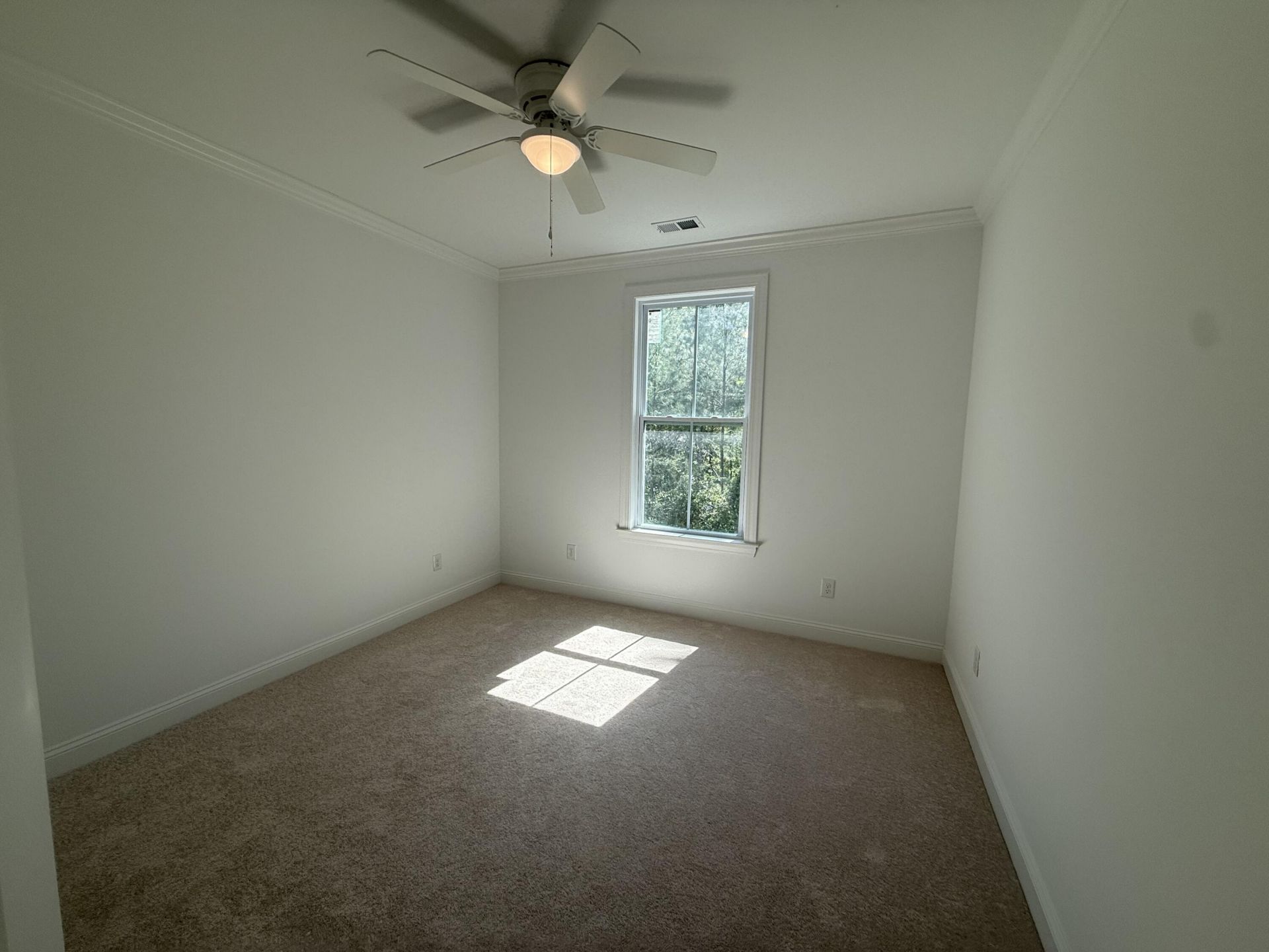 254 W Smith Street Photo 17