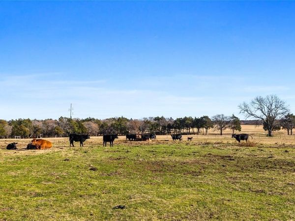 T-13415 US Hwy 377, Gordonville, TX 76245