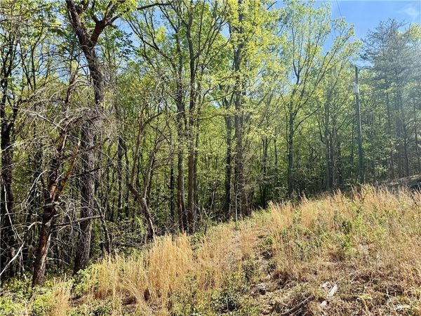 000 Big Rock Lane, Lowgap, NC 27024